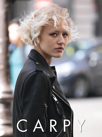 CARPY Coiffeur Coloriste, Salon de Coiffure à Romorantin-Lanthenay