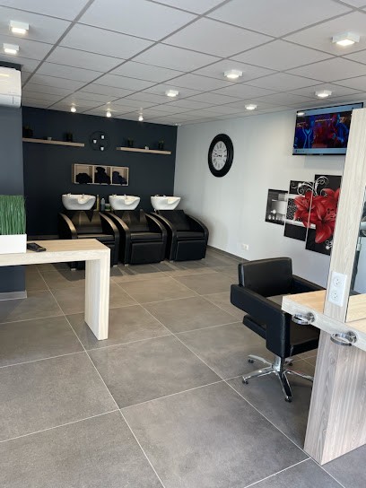 Elle V'Coif, Salon de Coiffure à Saint-Denis-en-Val