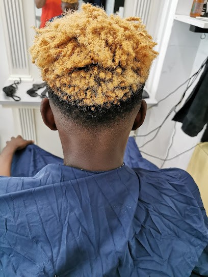 Salon Afro Antillais - Diallo Aïcha, Salon de Coiffure à Lisieux