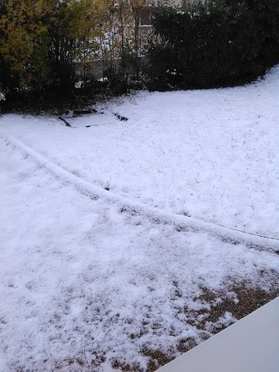 Girard Francoise, Coiffeur à Domicile à Tournus