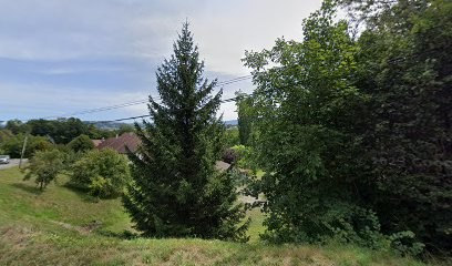 Anne coiffure, Coiffeur à Domicile à Rumilly