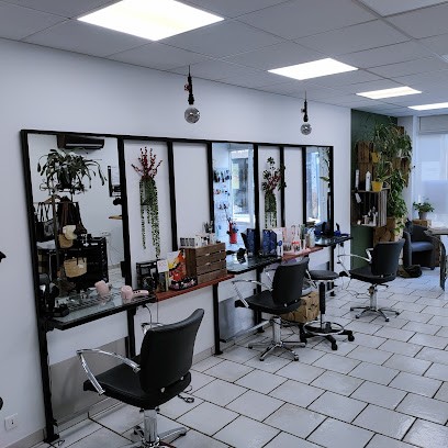 Julien David, Salon de Coiffure à Bergerac