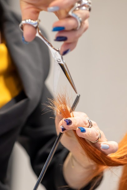 Sandrine V Maitre Artisan Coiffeur, Salon de Coiffure à Montluel