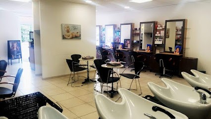 Diloy's, Salon de Coiffure au Boulou