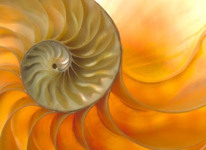 Coiffure Coupe Equilibr'énergétique Carcassonne, Salon de Coiffure à Villemoustaussou