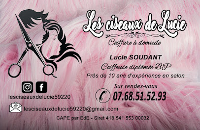 Les Ciseaux De Lucie. Coiffeuse À Domicile, Coiffeur à Rouvignies
