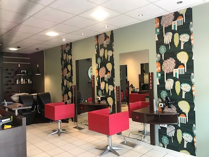 Image B, Salon de Coiffure à Montrabé