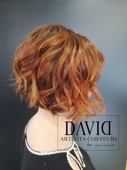 Salon David Loureiro, Salon de Coiffure à Thionville