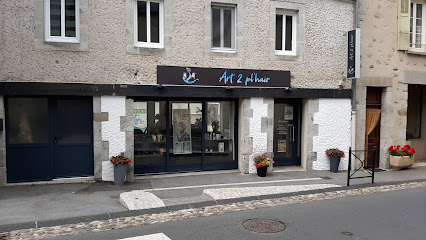 Art 2 Pl Hair Coiffeur à Saignes