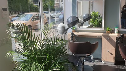 Aukeo Création, Salon de Coiffure à Bourg-la-Reine