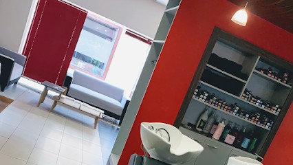 Styl’d’hair, Salon de Coiffure à Gray