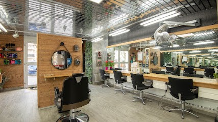 CD Glotin Hairstyle, Salon de Coiffure à Montigny-le-Bretonneux