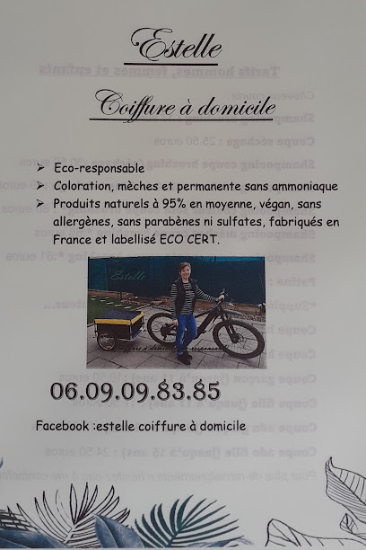 Estelle Coiffure À Domicile "Belle Au Naturel" Coiffeur à Pagny-sur-Moselle
