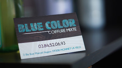 Blue Color, Coiffeur à Monnet-la-Ville