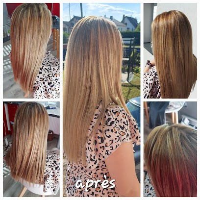 L'Esprit Libre Coiffure, Coiffeur à Domicile à Walbourg