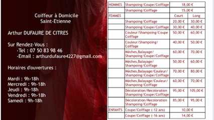 Arthur Dufaure de Citres, Coiffeur à Domicile à Roanne
