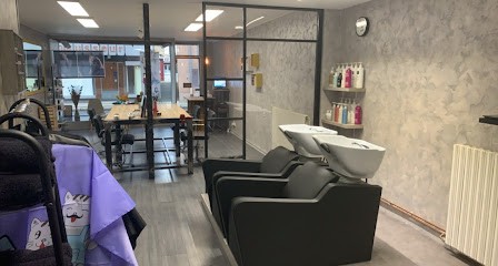 Illumin'Hair, Salon de Coiffure au Donjon