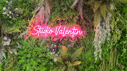 Studio Valentin, Coiffeur à Saint-Benoît-sur-Seine