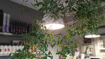 Salon Cédric Yves - Coiffeur, Salon de Coiffure à Château-d'Olonne