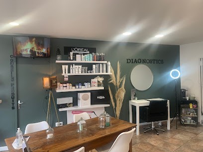 Coiffure Sophie D, Salon de Coiffure à Saint-Étienne-de-Fontbellon