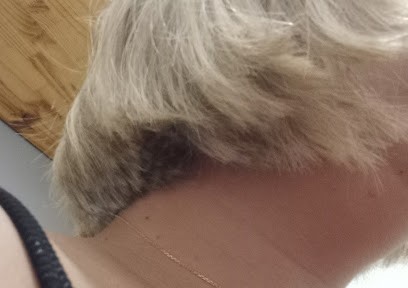 Coiff'Hair, Salon de Coiffure à Rochefort