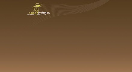 SALON EVOLUTION-Coiffeur St Nom La Breteche, Salon de Coiffure à Saint-Nom-la-Bretèche