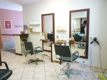 Fabre Anne, Salon de Coiffure à Montredon-Labessonnié