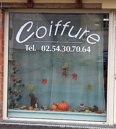 Le Peigne Fin, Salon de Coiffure à Saint-Denis-de-Jouhet