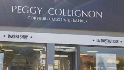 Peggy Collignon Coiffeur Coloriste Barbier, Salon de Coiffure à Verny