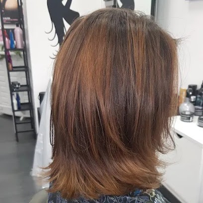 Imaginatif Chez Vous Coiffeuse Privée Dijon, Coiffeur à Domicile à Perrigny-lès-Dijon