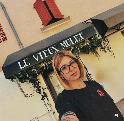 Le Vieux Mulet Coiffeur à Albi