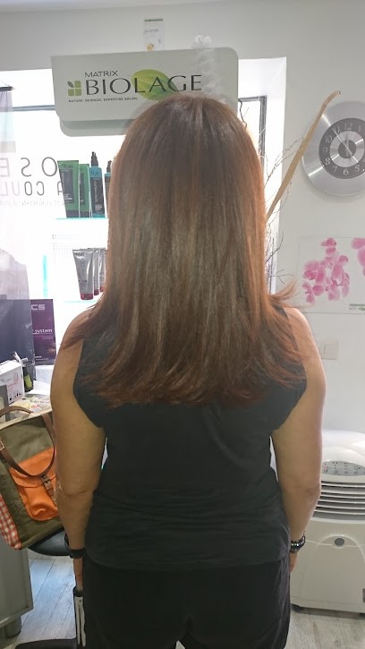 Olivier Coiffure, Salon de Coiffure à Bandol