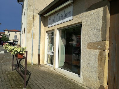 Cyril'Coiffure, Salon de Coiffure à Reventin-Vaugris