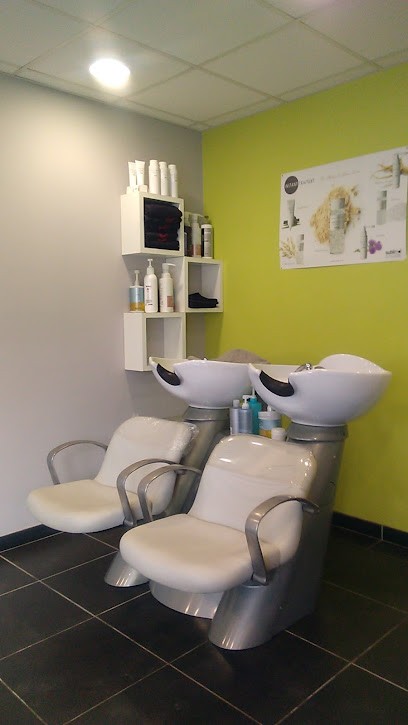 Carrier Florence, Salon de Coiffure à Saint-Mariens