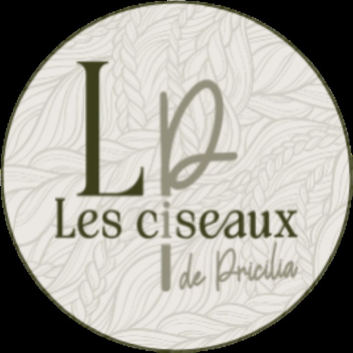 Les Ciseaux De Pricilia - Coiffeuse À Domicile Coiffeur À Domicile à Erquinghem-Lys
