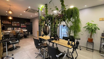 FM'Hair, Salon de Coiffure à Sucy-en-Brie