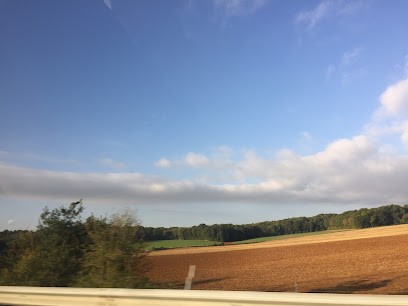 Karin' Créatif, Coiffeur à Domicile à Gironcourt-sur-Vraine