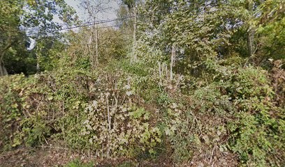 Plus belle tressée, Coiffeur à Domicile à Longpont-sur-Orge