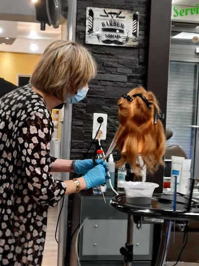 Eurostyl Hornaing, Salon de Coiffure à Hornaing