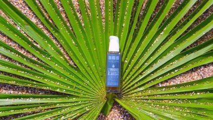 PASSION COIFFURE CC, Salon de Coiffure à Bourbon-l'Archambault