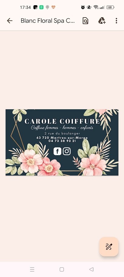 Carole Coiffure, Salon de Coiffure à Martres-sur-Morge