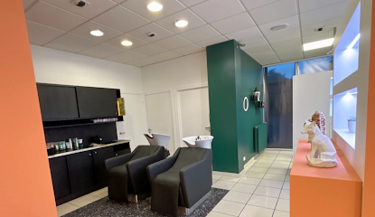 L'art Du Ciseau Coiffeur à Brécé