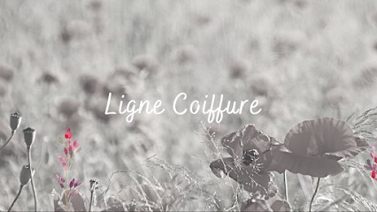 Ligne Coiffure, Salon de Coiffure à Bayecourt