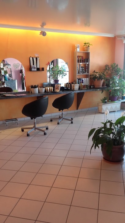 Evasion Coiffure Sophie, Salon de Coiffure à Saint-Jean-de-Losne