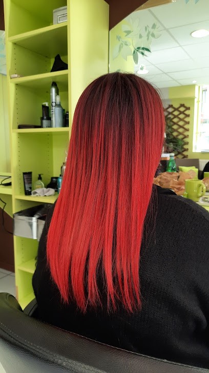 Cut'r Diffusion, Salon de Coiffure à Roche-la-Molière