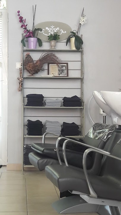 Meches A Meches, Salon de Coiffure à Lugny