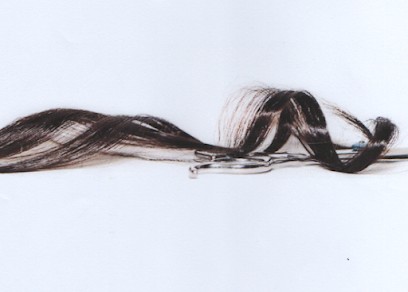 L'Embellie Coiffure Mixte à Domicile, Coiffeur à Domicile à Mehun-sur-Yèvre