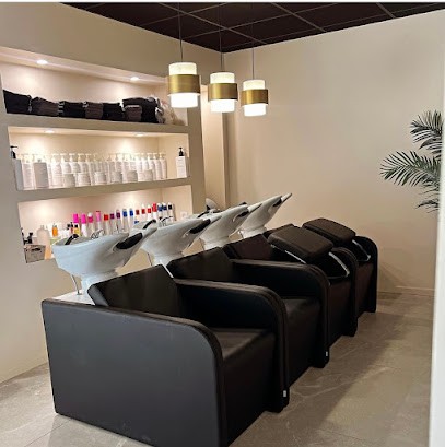 La maison du cheveu, Salon de Coiffure à Odos
