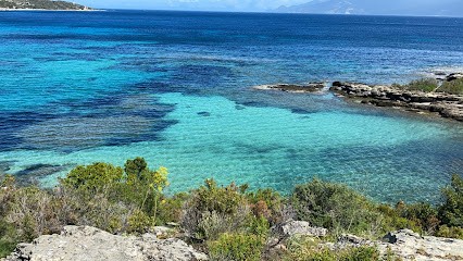 Doudaliss By Ouided, Coiffeur à Domicile à Dagneux