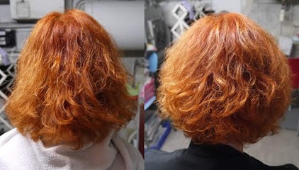 Coiffure à Domicile Elisabeth Giry, Coiffeur à Domicile à Avignon